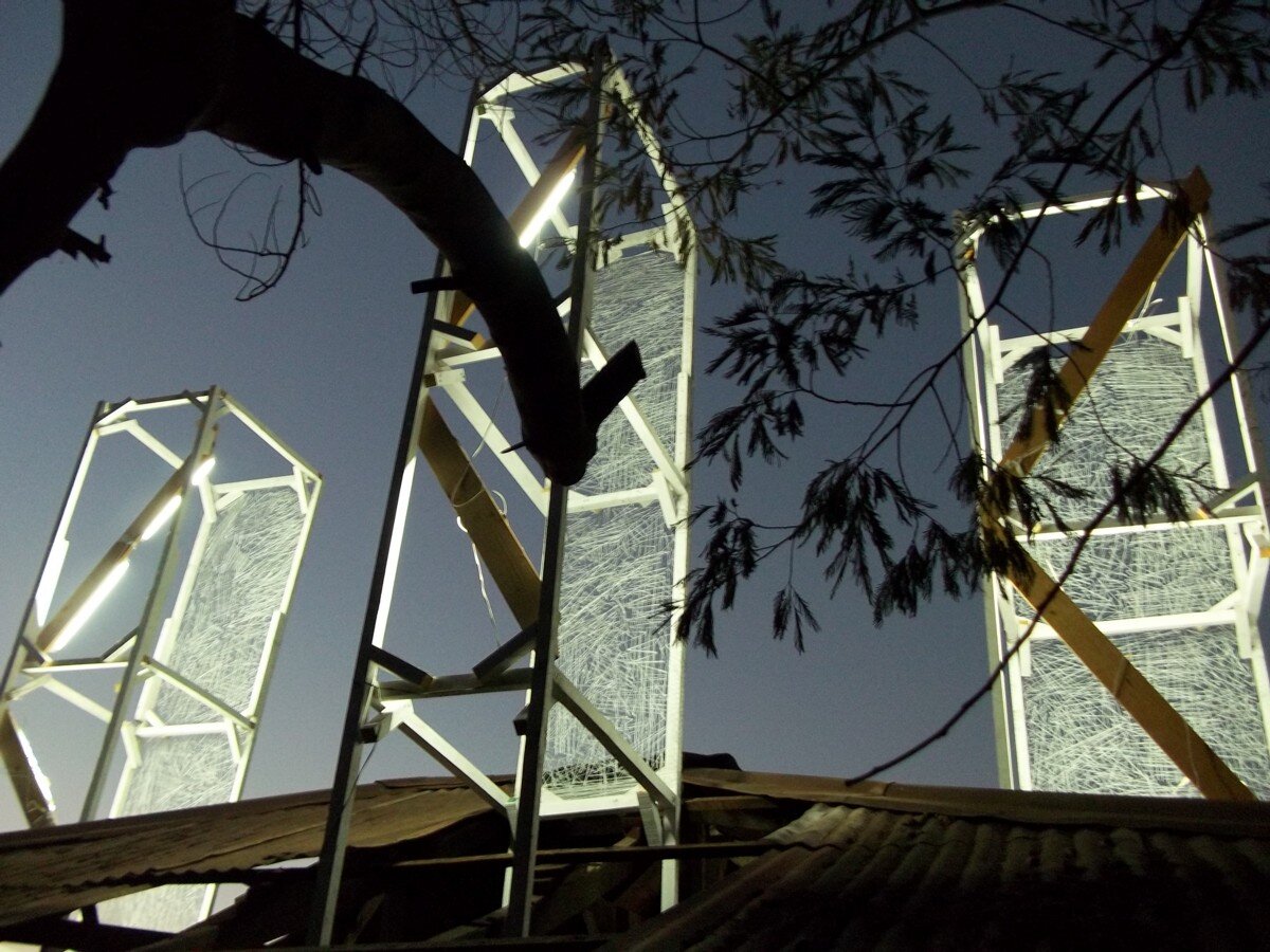 La Casa de Atrás, las torres luminosas vistas de cerca al anochecer, entre ramas de un árbol